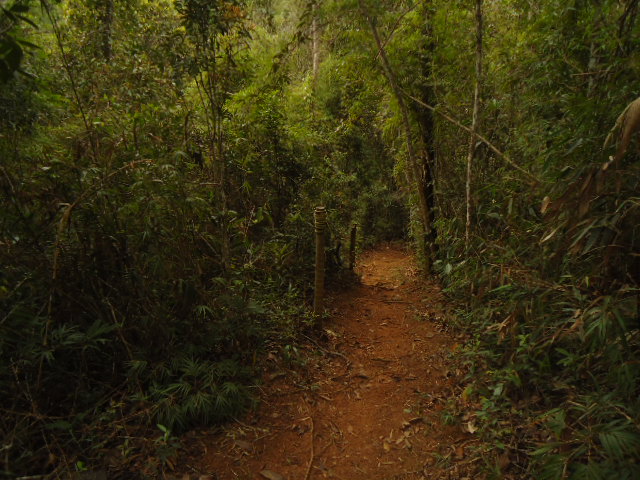 Casa à venda em Araras, Petrópolis - RJ - Foto 13
