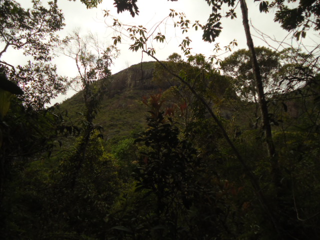 Casa à venda em Araras, Petrópolis - RJ - Foto 12