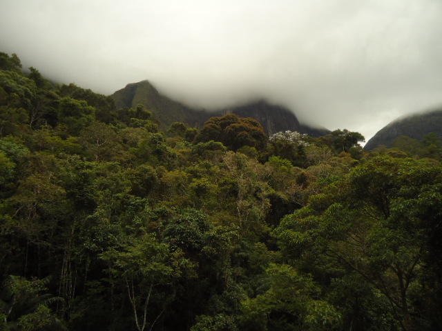 Casa à venda em Araras, Petrópolis - RJ - Foto 3