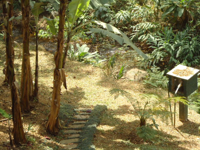 Casa à venda em Vale das Videiras, Petrópolis - RJ - Foto 17