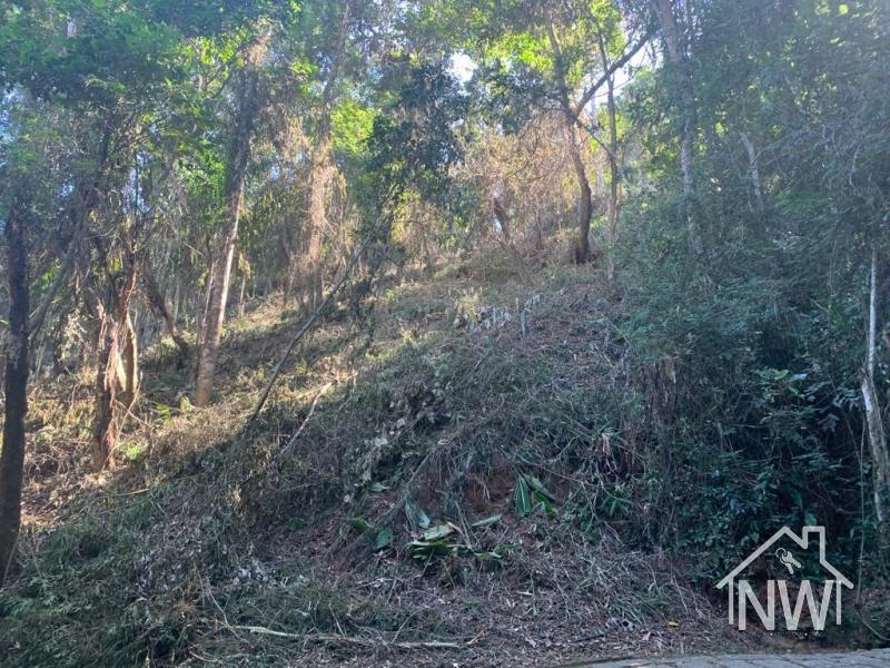 Terreno Residencial à venda em Itaipava, Petrópolis - RJ - Foto 3