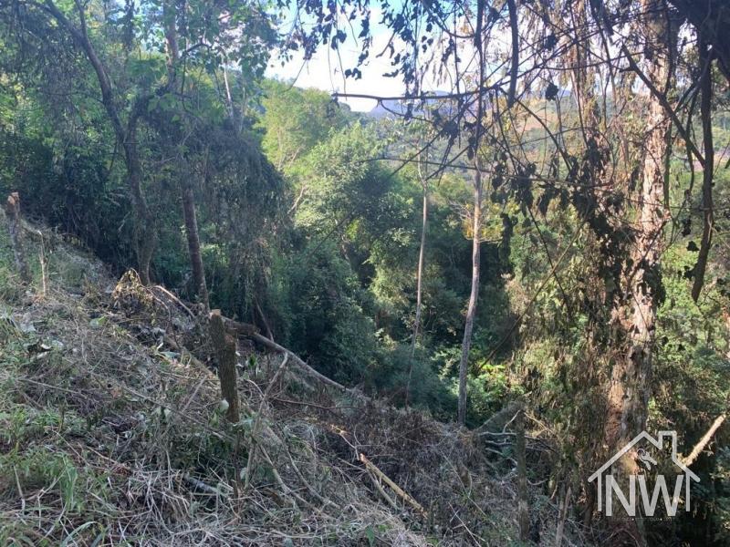 Terreno Residencial à venda em Itaipava, Petrópolis - RJ - Foto 6