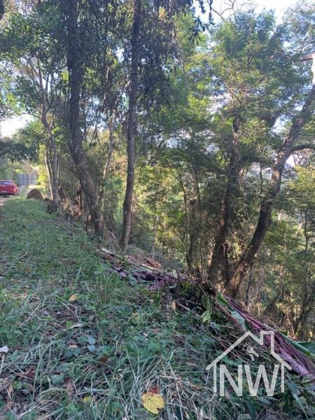 Terreno Residencial à venda em Itaipava, Petrópolis - RJ - Foto 9