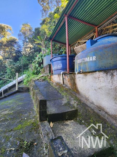 Casa à venda em Independência, Petrópolis - RJ - Foto 8