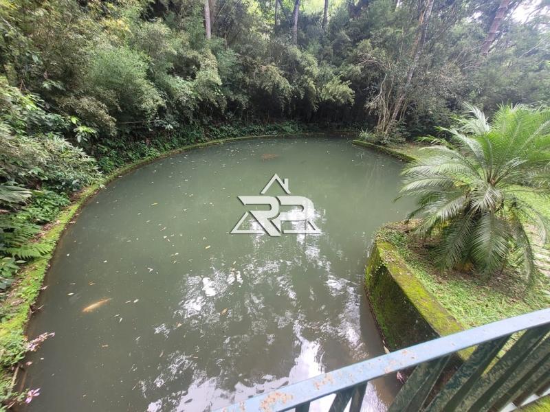 Comprar Casa em Itaipava, Petrópolis/RJ - Renata Pereira Corretora