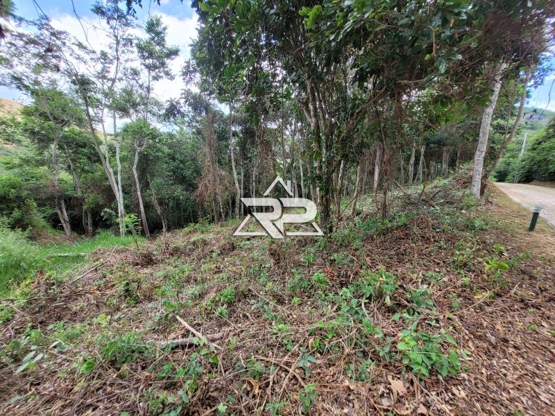 Comprar Terreno Residencial em Pedro do Rio, Petrópolis/RJ - Renata Pereira Corretora