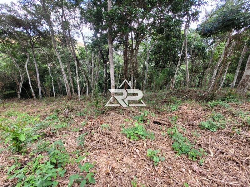 Comprar Terreno Residencial em Pedro do Rio, Petrópolis/RJ - Renata Pereira Corretora