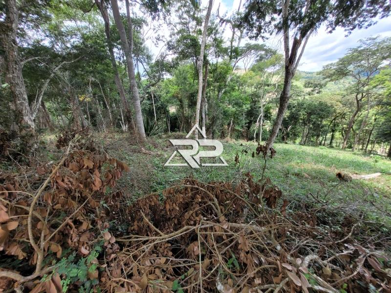 Comprar Terreno Residencial em Pedro do Rio, Petrópolis/RJ - Renata Pereira Corretora