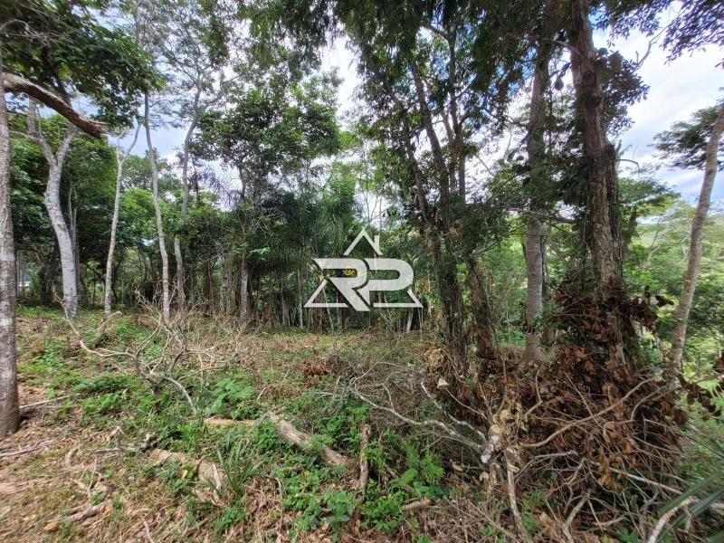 Comprar Terreno Residencial em Pedro do Rio, Petrópolis/RJ - Renata Pereira Corretora