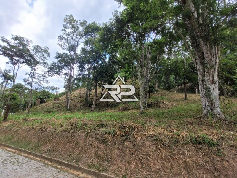 Comprar Terreno Residencial em Pedro do Rio, Petrópolis/RJ - Renata Pereira Corretora