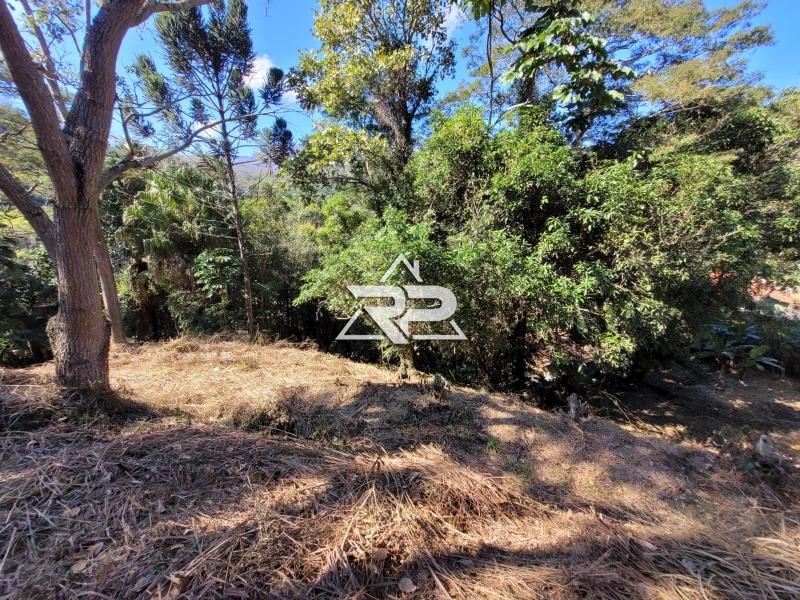 Comprar Casa em Pedro do Rio, Petrópolis/RJ - Renata Pereira Corretora