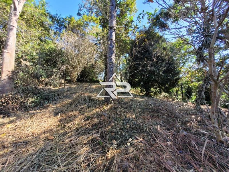 Comprar Casa em Pedro do Rio, Petrópolis/RJ - Renata Pereira Corretora