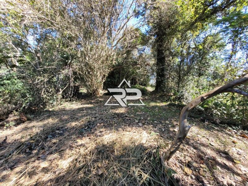 Comprar Casa em Pedro do Rio, Petrópolis/RJ - Renata Pereira Corretora