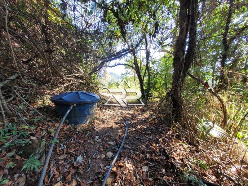 Comprar Casa em Pedro do Rio, Petrópolis/RJ - Renata Pereira Corretora