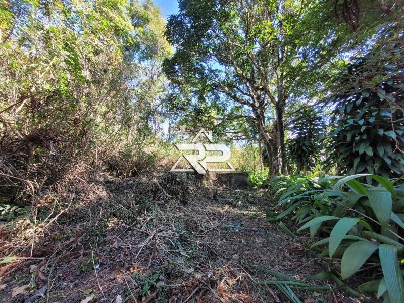 Comprar Casa em Pedro do Rio, Petrópolis/RJ - Renata Pereira Corretora