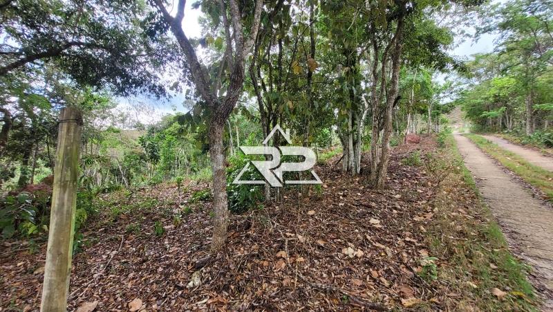 Comprar Terreno Residencial em Bonsucesso, Petrópolis/RJ - Renata Pereira Corretora