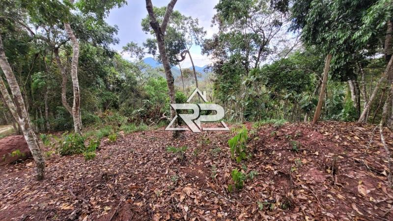 Comprar Terreno Residencial em Bonsucesso, Petrópolis/RJ - Renata Pereira Corretora