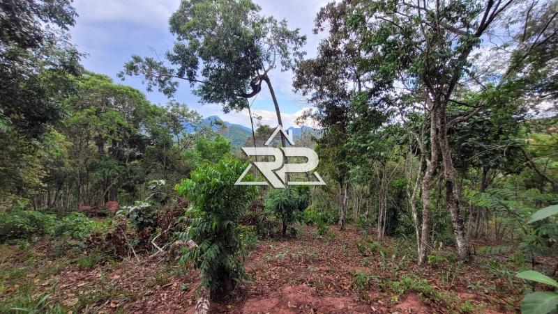 Comprar Terreno Residencial em Bonsucesso, Petrópolis/RJ - Renata Pereira Corretora