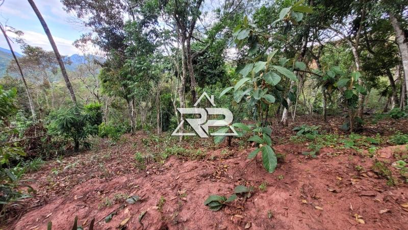 Comprar Terreno Residencial em Bonsucesso, Petrópolis/RJ - Renata Pereira Corretora