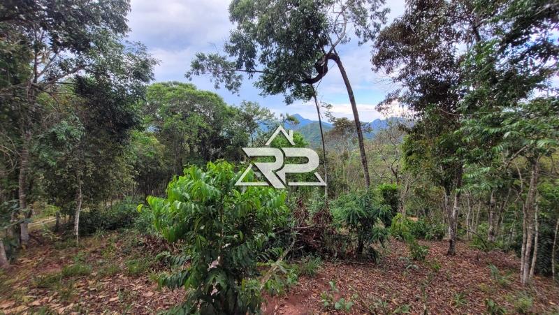 Comprar Terreno Residencial em Bonsucesso, Petrópolis/RJ - Renata Pereira Corretora