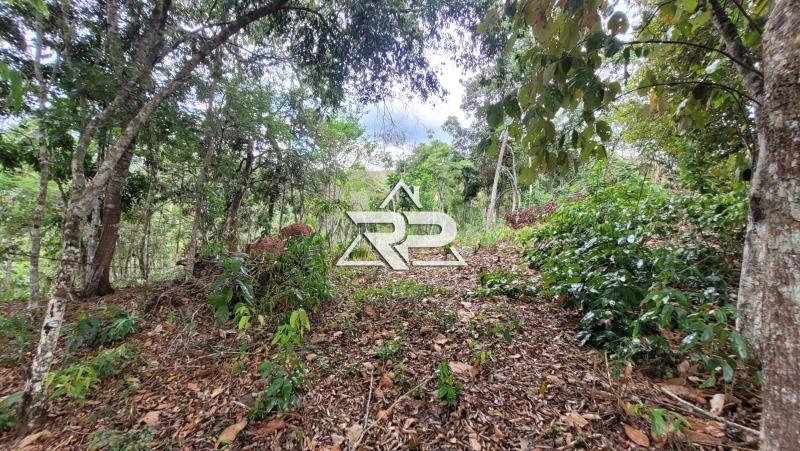 Comprar Terreno Residencial em Bonsucesso, Petrópolis/RJ - Renata Pereira Corretora