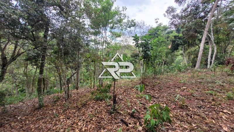 Comprar Terreno Residencial em Bonsucesso, Petrópolis/RJ - Renata Pereira Corretora