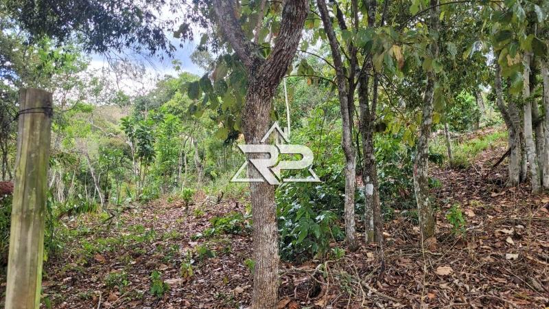 Comprar Terreno Residencial em Bonsucesso, Petrópolis/RJ - Renata Pereira Corretora