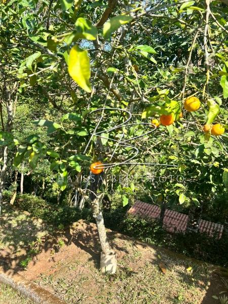 Comprar Casa em Itaipava, Petrópolis/RJ - Rhayssa Bertoloto Imóveis