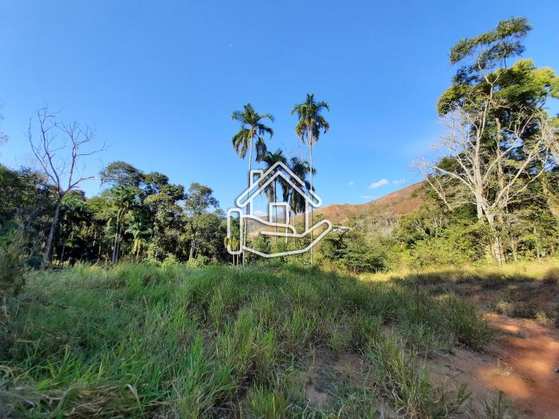 Terreno Residencial à venda em Pedro do Rio, Petrópolis - RJ - Foto 1