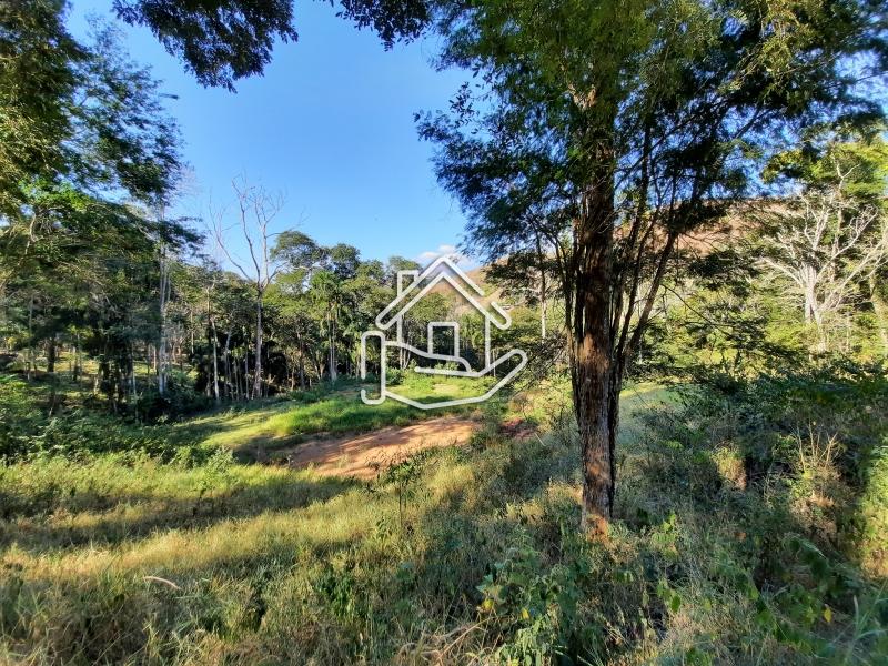Terreno Residencial à venda em Pedro do Rio, Petrópolis - RJ - Foto 7