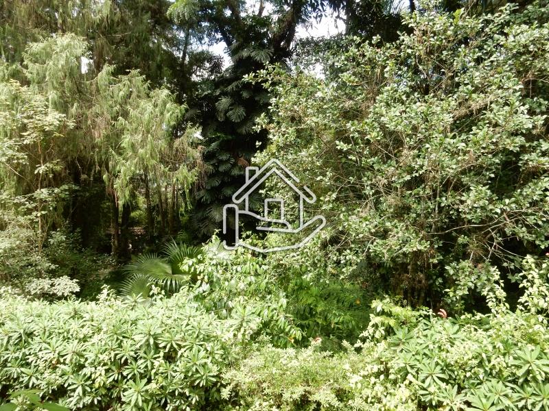 Casa à venda em Corrêas, Petrópolis - RJ - Foto 5