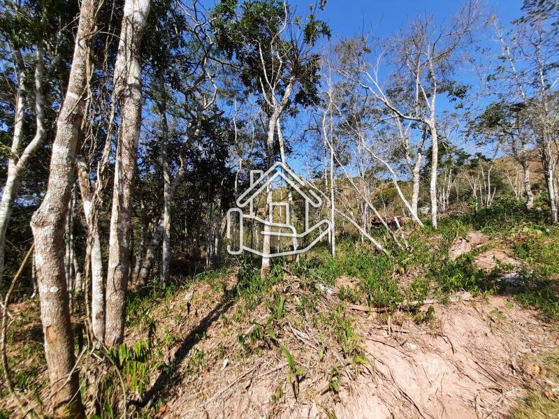 Terreno Residencial à venda em Bonsucesso, Petrópolis - RJ - Foto 3