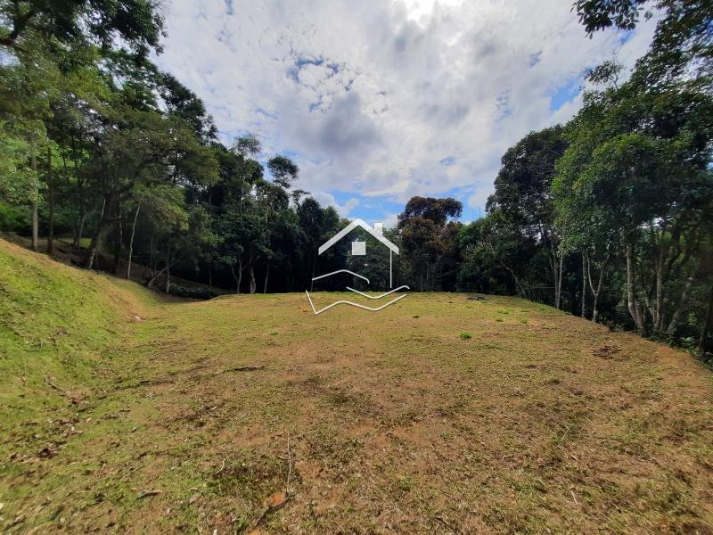 Terreno Residencial à venda em Araras, Petrópolis - RJ - Foto 3