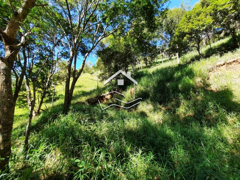 Terreno Residencial à venda em Araras, Petrópolis - RJ - Foto 3