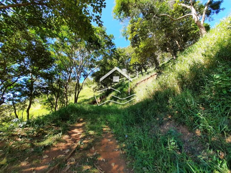 Terreno Residencial à venda em Araras, Petrópolis - RJ - Foto 4
