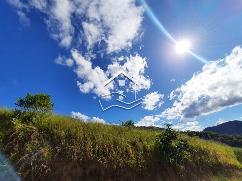 Terreno Residencial à venda em Pedro do Rio, Petrópolis - RJ - Foto 4