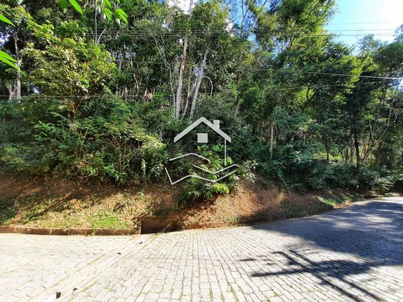 Terreno Residencial à venda em Pedro do Rio, Petrópolis - RJ - Foto 3