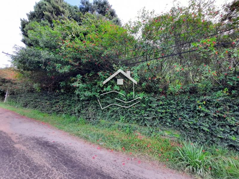 Terreno Comercial à venda em Itaipava, Petrópolis - RJ - Foto 1