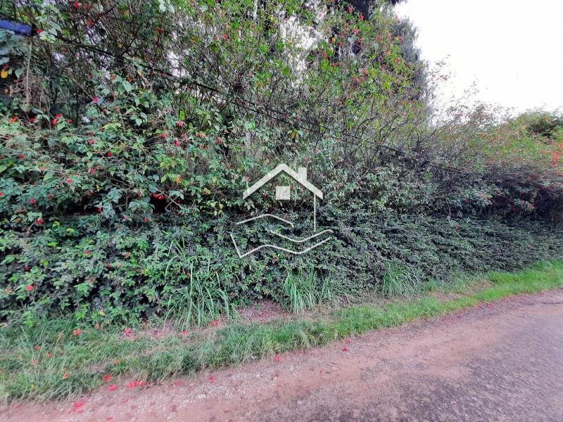 Terreno Comercial à venda em Itaipava, Petrópolis - RJ - Foto 2