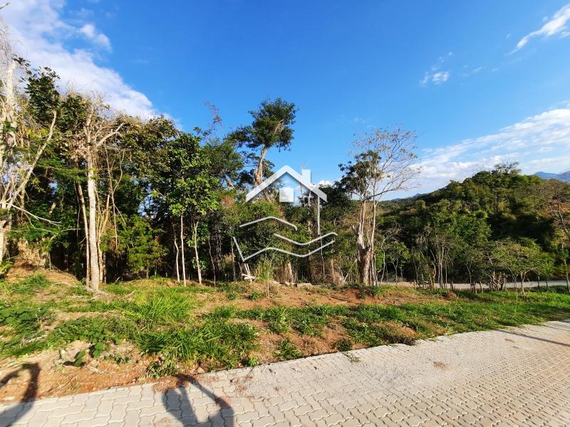 Terreno Residencial à venda em Pedro do Rio, Petrópolis - RJ - Foto 1