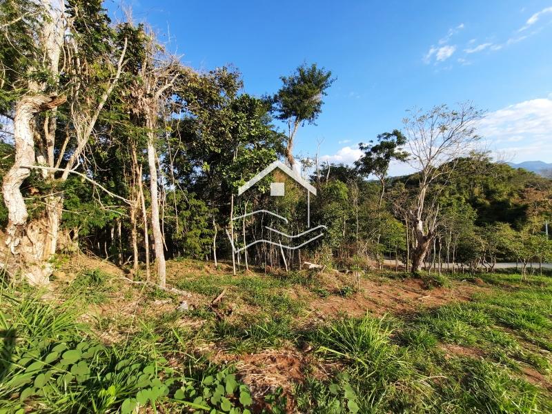 Terreno Residencial à venda em Pedro do Rio, Petrópolis - RJ - Foto 2