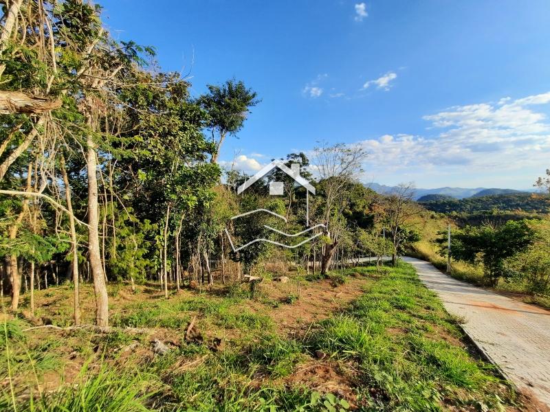 Terreno Residencial à venda em Pedro do Rio, Petrópolis - RJ - Foto 3