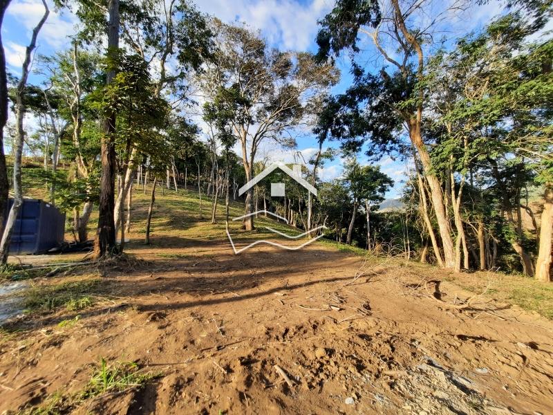 Terreno Residencial à venda em Pedro do Rio, Petrópolis - RJ - Foto 4
