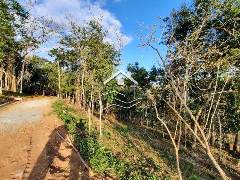 Terreno Residencial à venda em Pedro do Rio, Petrópolis - RJ - Foto 5