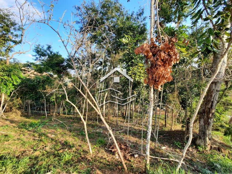 Terreno Residencial à venda em Pedro do Rio, Petrópolis - RJ - Foto 6