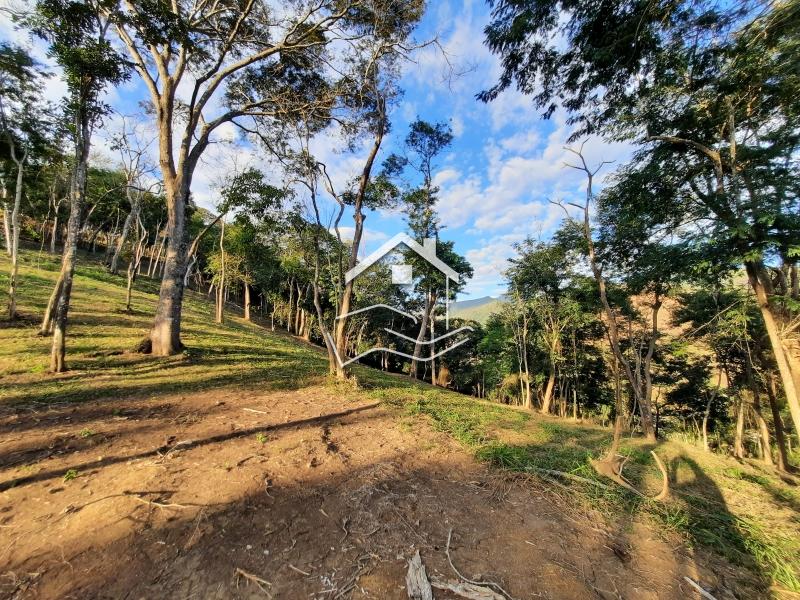Terreno Residencial à venda em Pedro do Rio, Petrópolis - RJ - Foto 7