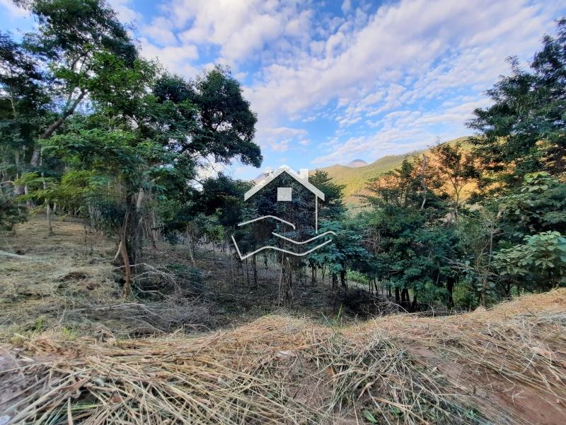 Terreno Residencial à venda em Pedro do Rio, Petrópolis - RJ - Foto 2
