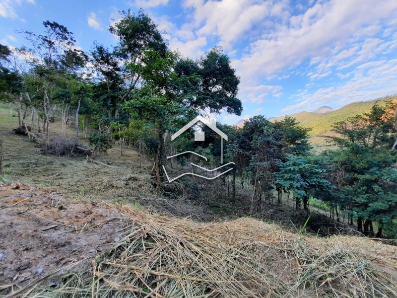Terreno Residencial à venda em Pedro do Rio, Petrópolis - RJ - Foto 4