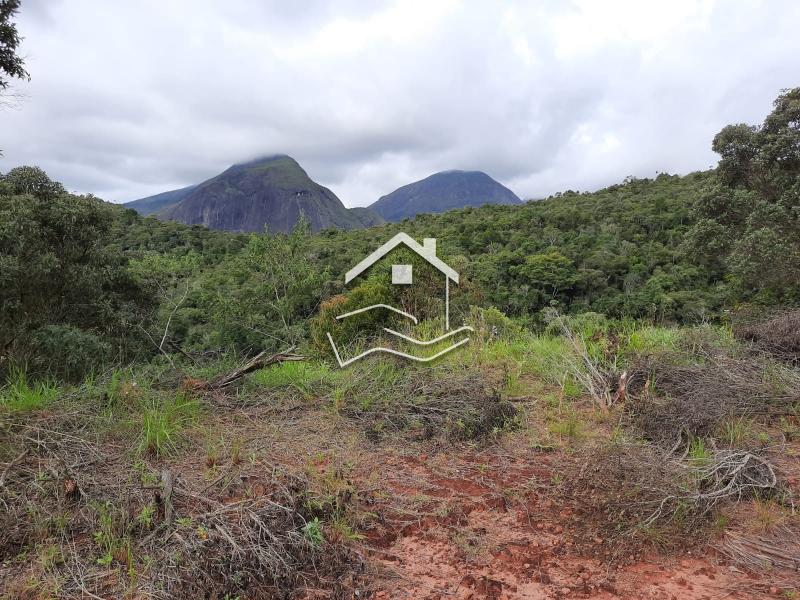 Terreno Residencial à venda em Pedro do Rio, Petrópolis - RJ - Foto 1