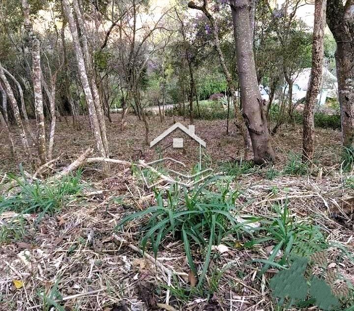 Terreno Residencial à venda em Itaipava, Petrópolis - RJ - Foto 1